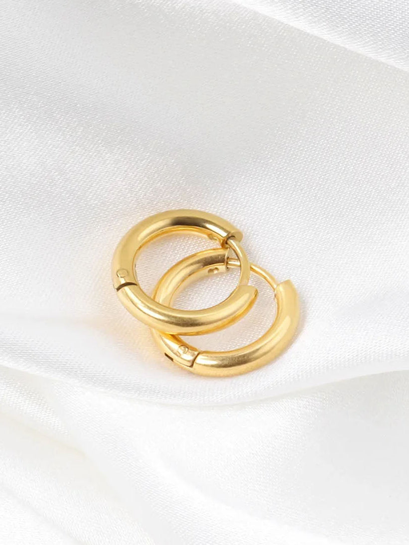 Stainless Steel Hooks Round Earrings